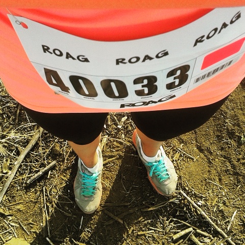 IMG 20150816 100314