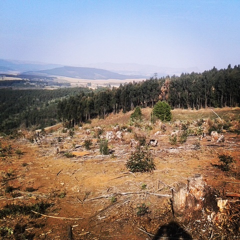 IMG 20150816 100413